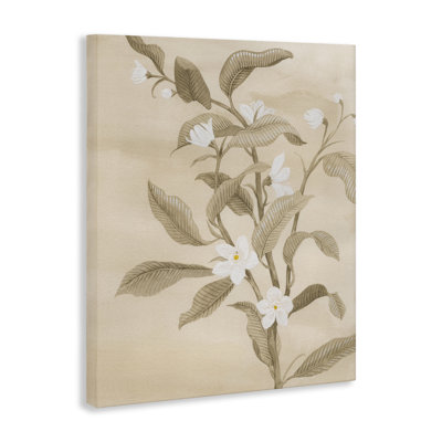«Neutral Daffodils Canvas Art» par Grace Popp
