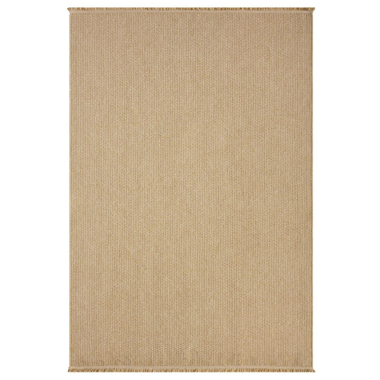 Modern Farmhouse Fringed Area Rug