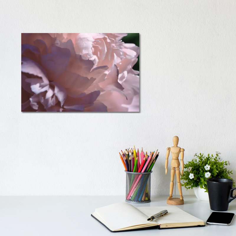 Velvet Peony I by Michelle Calkins - Wrapped Canvas Print, 20.32cm H x 30.48cm W x 1.905cm D