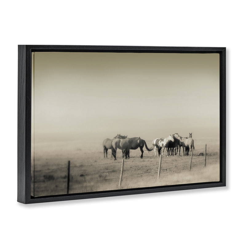 Cadre flottant monochrome The Chevaux, design par Roberta Murray, Cadre flottant noir de jais, H 17 po x l 25 po