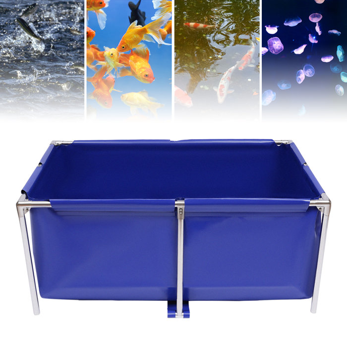 Tucker Murphy Pet™ Breze Rectangle Aquarium Tank - Wayfair Canada