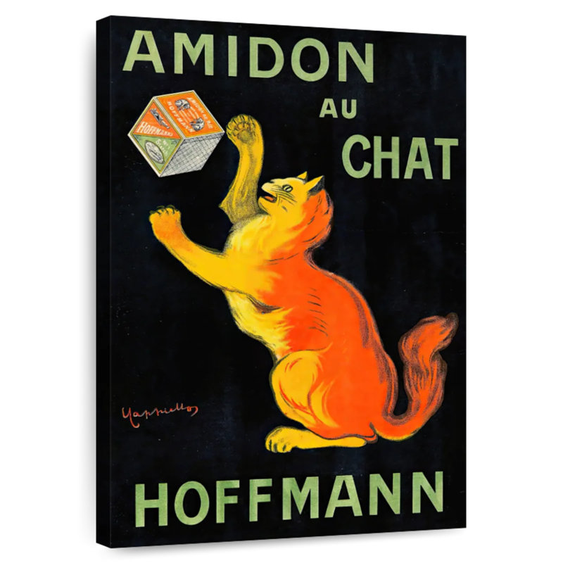 Brampt Amidon Au Chat, H 30 po x l 20 po