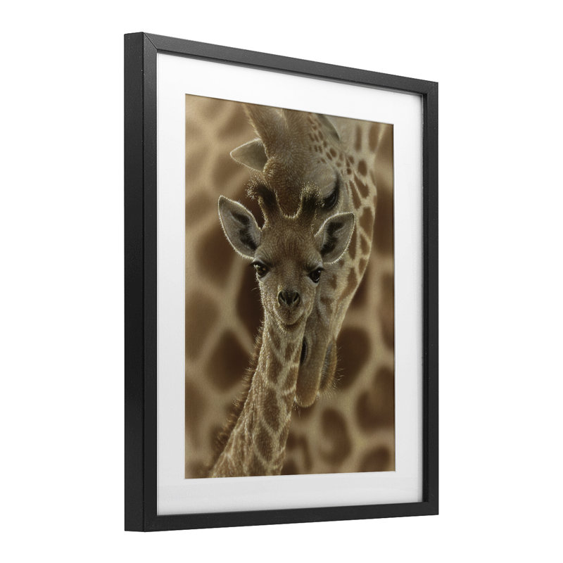«Newborn Giraffe Calf», reproduction sous verre, conception de Collin Bogle, Cadre noir minuit, H 16 po x l 13 po