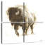 Bison rustique Brampt II