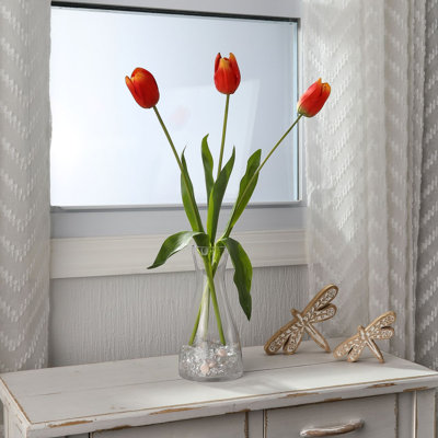 Tulipe Holland 23 "Just Cut