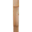 Corbeau alpin-1059789661-1059789619-1059789618