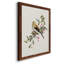 Spring Song Pine Grosbeak - cadre photo, impression sur toile-61317184-61317189