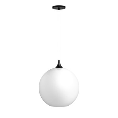 14 in. Black Globe Pendant Light