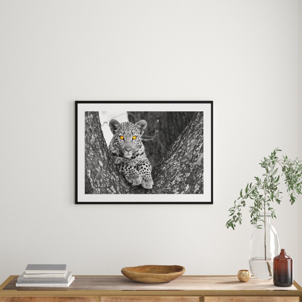 Gerahmtes Poster Leopardenjunges auf Baum