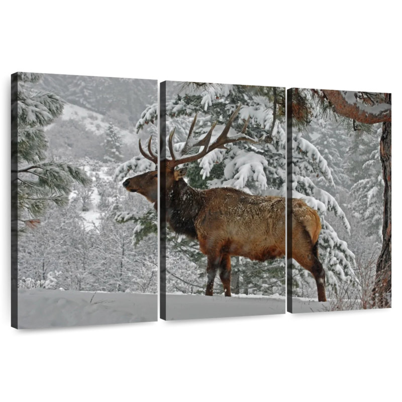 Brampt Washington Winter Elk, 20" H x 33" W