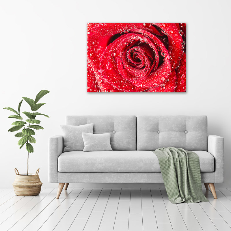 Water Drops On A Rose - No Frame Print on Glass