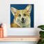 Corgi sur fond bleu-111889614