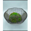 Conception succulente sur un vase en métal doré antique | Faux arrangement unique
