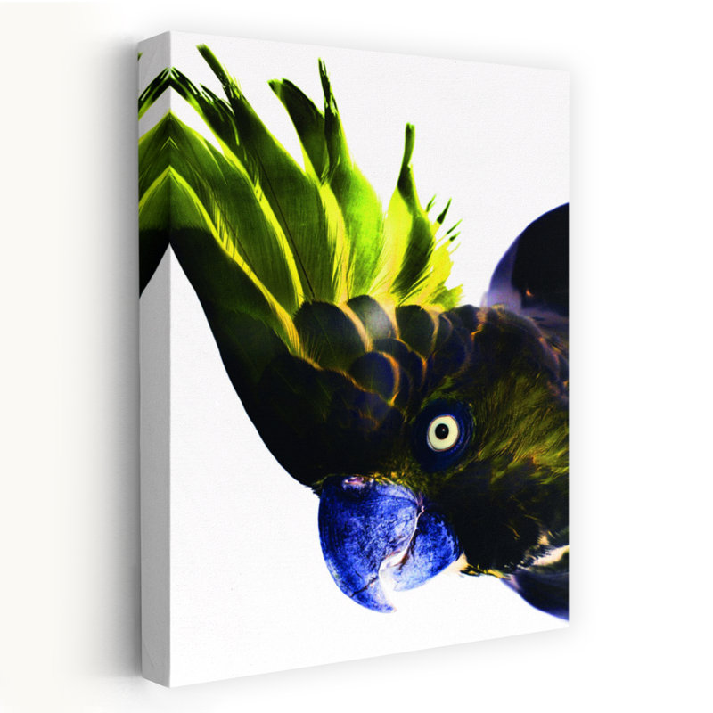 Art contemporain, art moderne oiseau tropical, H 60 po x l 40 po