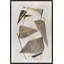 Visual Suspension II Print by Richard Ryder-1375864745