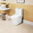 One Ceramic Toilet, 1.1/1.6 Flush, 15.55 In Comfort Height, White, Soft Close Seat, And White Flushing,
