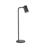 Metal Desk Lamp