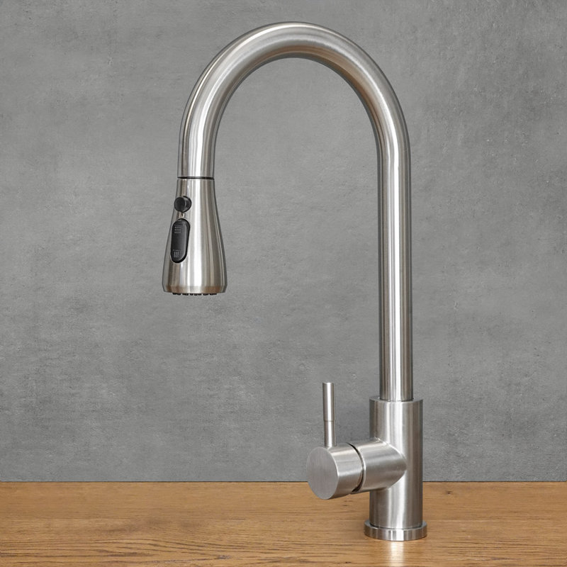 Belfry Kitchen Kitchen Faucet, Chrome