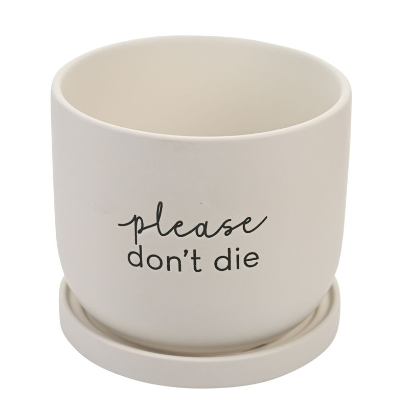 Princeston Ceramic Pot Planter