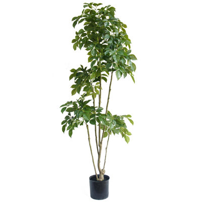 Annistyn 180cm Faux Radermachera Tree in Pot