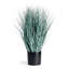 Queensland Blue Oat Grass Drop-In 32"