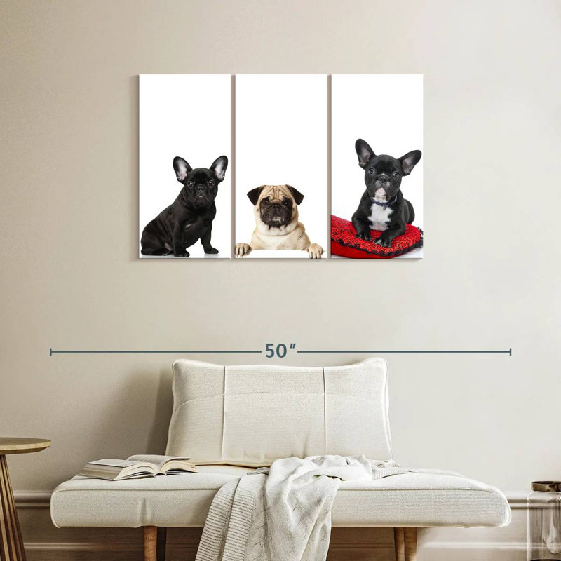 Bouledogue français et carlin, H 24 po x l 38 po