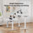 Jeneffer Computer Standing Desk with 4 Drawers for Home Office，Electric Height Adjustable Gaming Desk with Storage Shelf-1990801292-1989946104