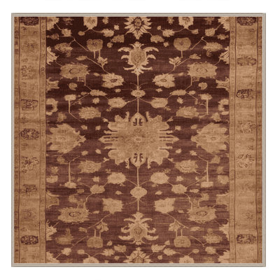 Machine Washable Overdyed Brown Area Rug