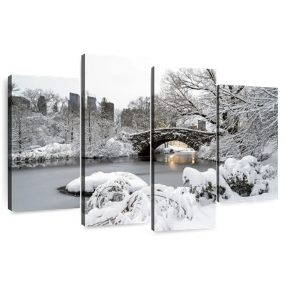 Nicci NYC Central Park Winter