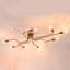 Momeyer Chandelier