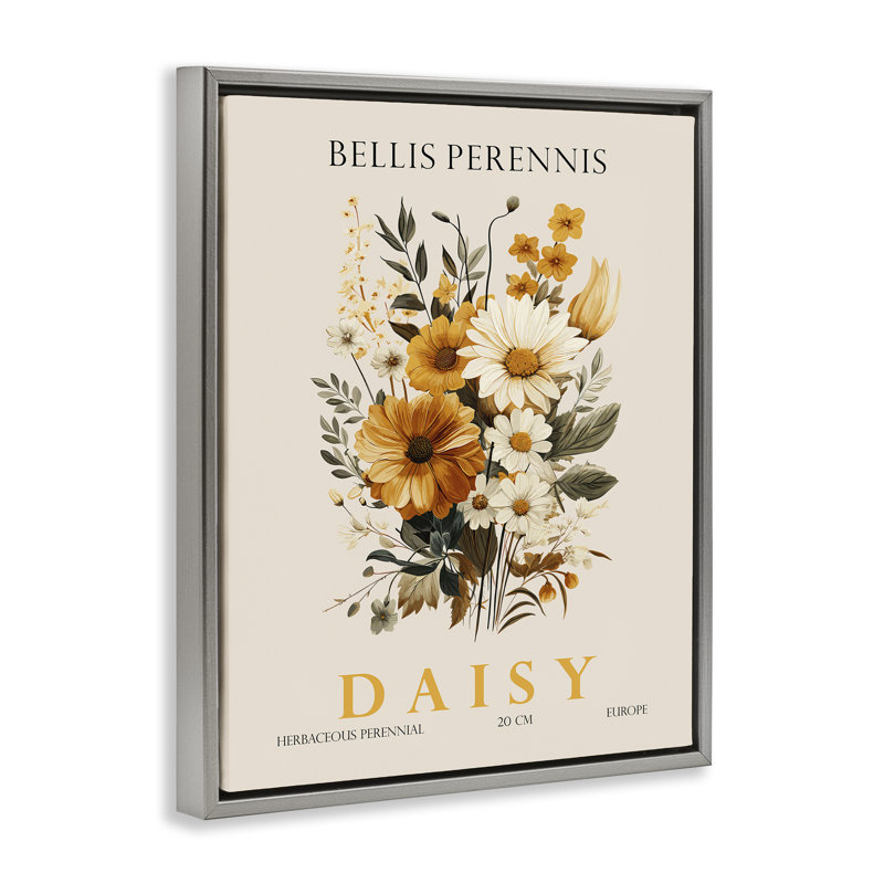 Cadre flottant Nature Daisy, par Christopher Giampietro, H 31 po x l 25 po, Cadre flottant gris lustré