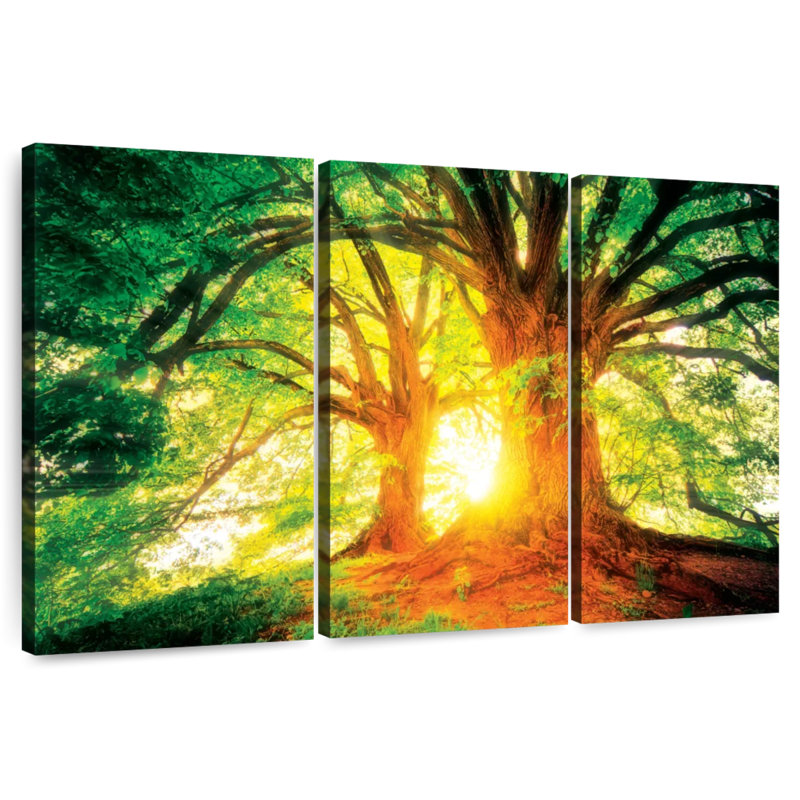 Harnek Old Oak Trees, 20" H x 33" W