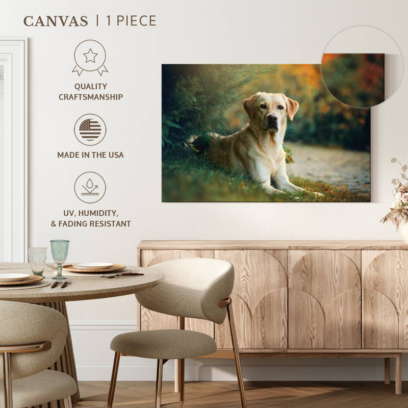 Labrador Retriever Mix, 34" H x 51" W