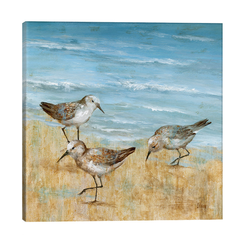 Sandpipers II by Nan - Wrapped Canvas Print, 93.98 cm H x 93.98 cm W x 3.175 cm D