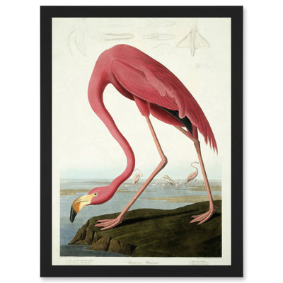 American Flamingo 1 Piece Single Picture Frame Painting