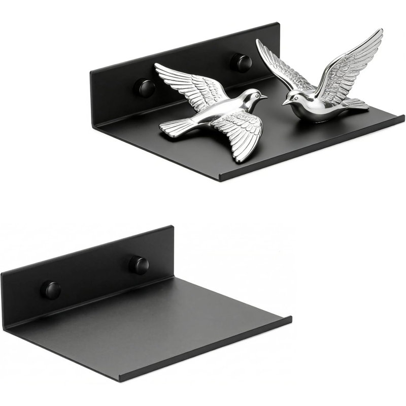 Z metnal Small Floating Shelves, 2 Pack Mini Metal Wall Mounted