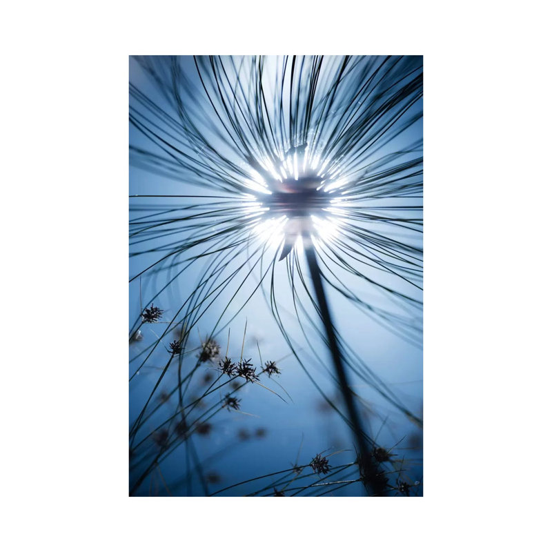 Jardin Botanique 1 Piece Wrapped Canvas Wall Art, 101.6 cm H x 66.04 cm W x 3.175 cm D