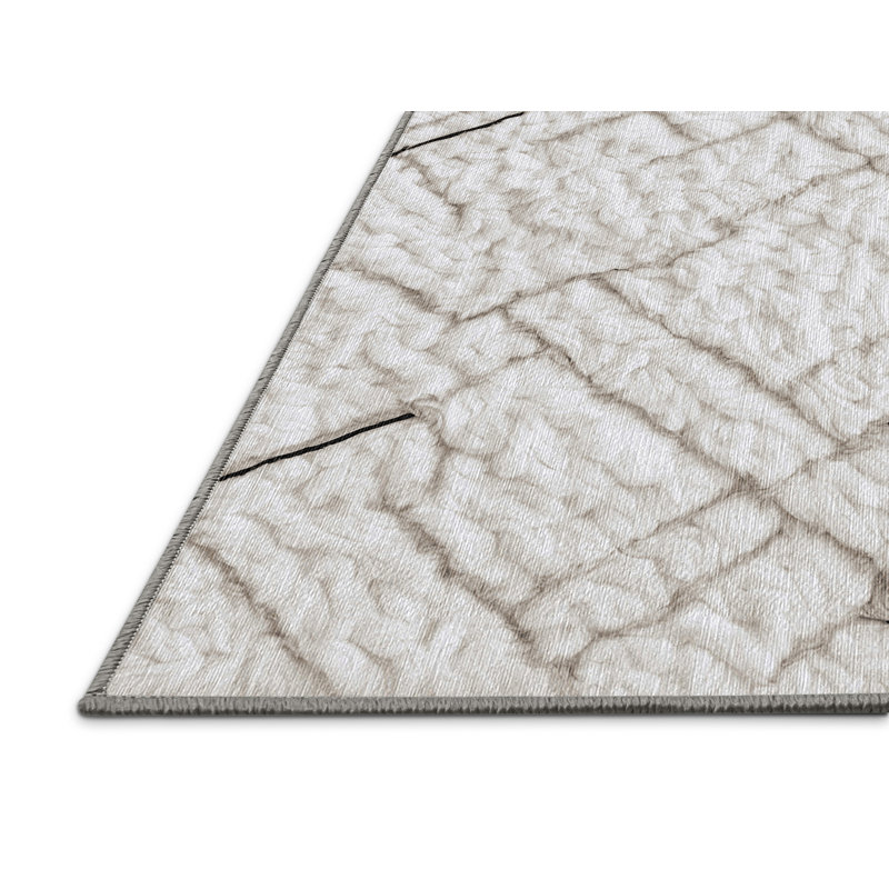 Machine Washable Gray Area Rug, Square 5'