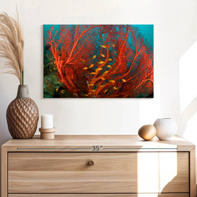 Fire Coral