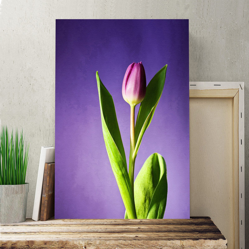 Wrapped Canvas Print, 60cm H x 40cm W
