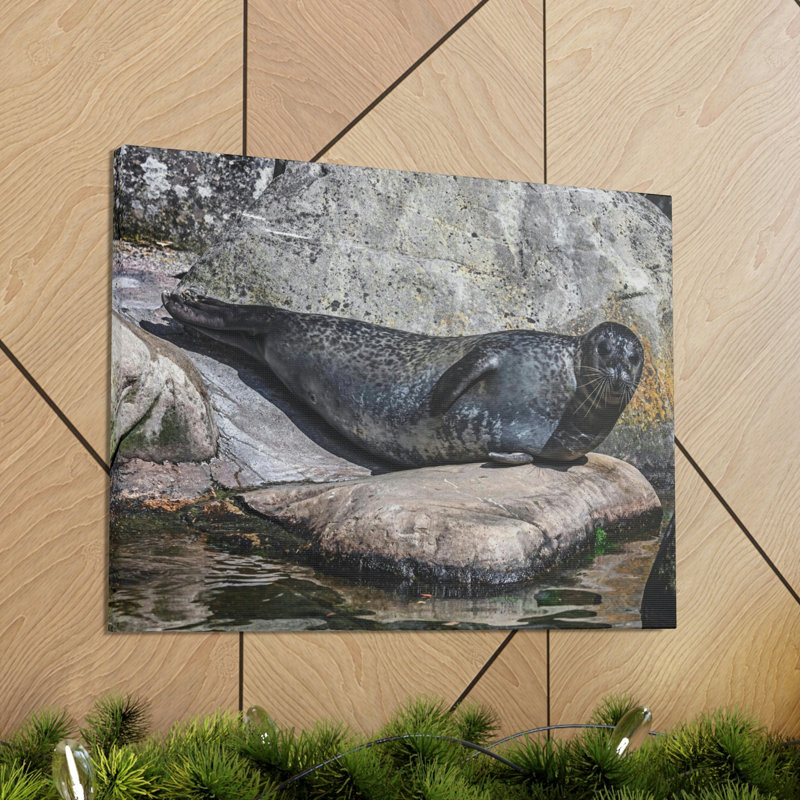 Art mural majestueux avec phoque commun, H 12 po x l 16 po
