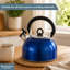 Buckingham Camping Whistling Kettle Stainless Steel with Heat-Resistant Handle 2.5 Litres-1644964772