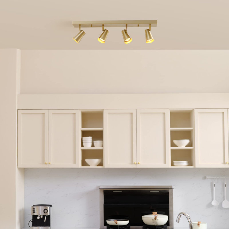 Rayjean 25'' 4 -Light Fixed Track Track Kit with Dimmable and Adjustable Head