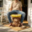 Tabouret/table d'appoint Highland Cow, siège décoratif multifonctionnel pour espaces intérieurs et extérieurs