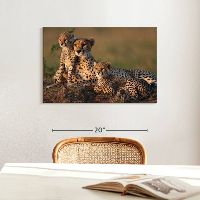 Safari guépard famille, H 16 po x l 24 po