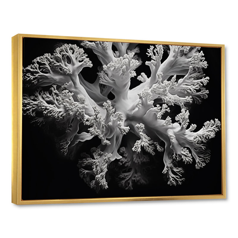 Anémone de corail noir et blanc III sur toile, H 34 po x l 44 po x P 1,5 po, Cadre flottant doré