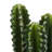 17 " H Faux Cactus Succulent in Concrete Pot
