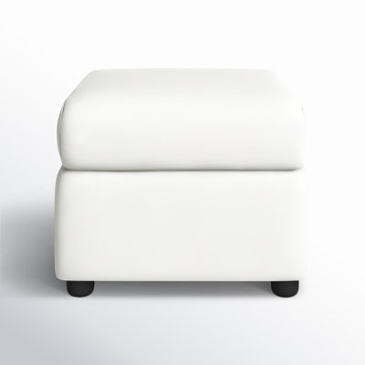 Godwin Upholstered Ottoman by Joss and Main