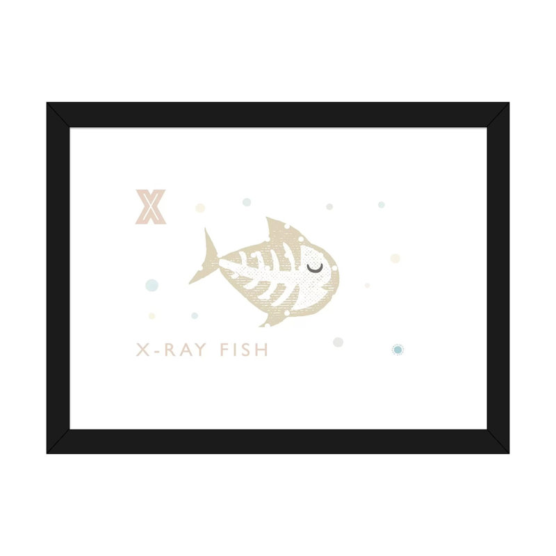" Xray Fish ", White, 24" H x 32" W x 1" D, Black Framed Paper