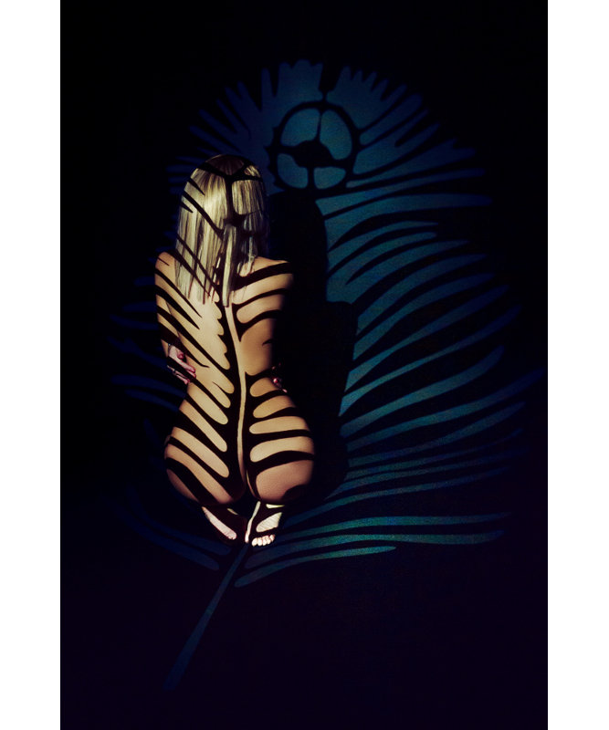 Wrapped Canvas Print, 50.8 cm H x 76.2 cm W